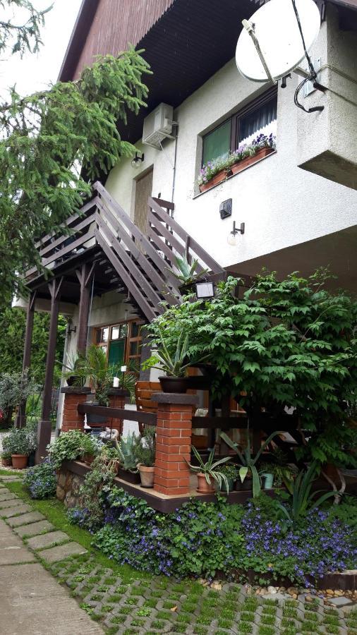Agave Apartman Velence Dış mekan fotoğraf