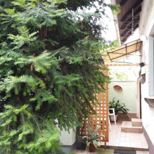Agave Apartman Velence Dış mekan fotoğraf