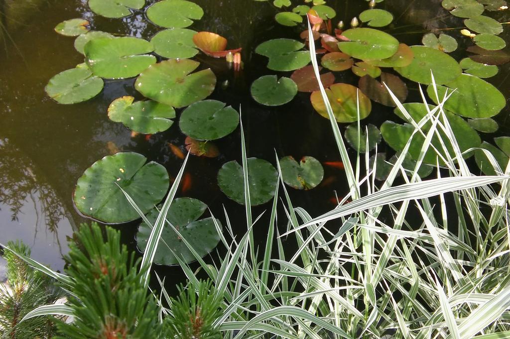 Agave Apartman Velence Dış mekan fotoğraf